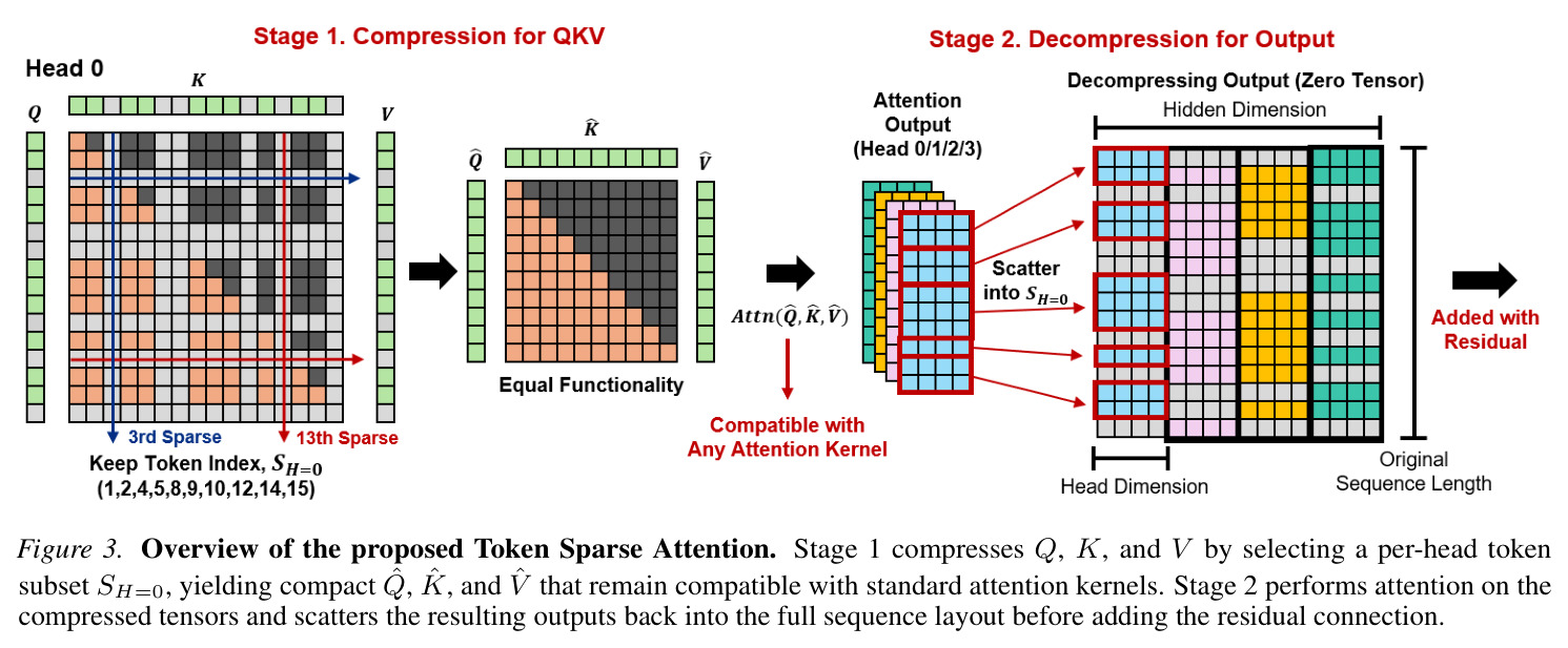 Token Sparse Attention方法概述