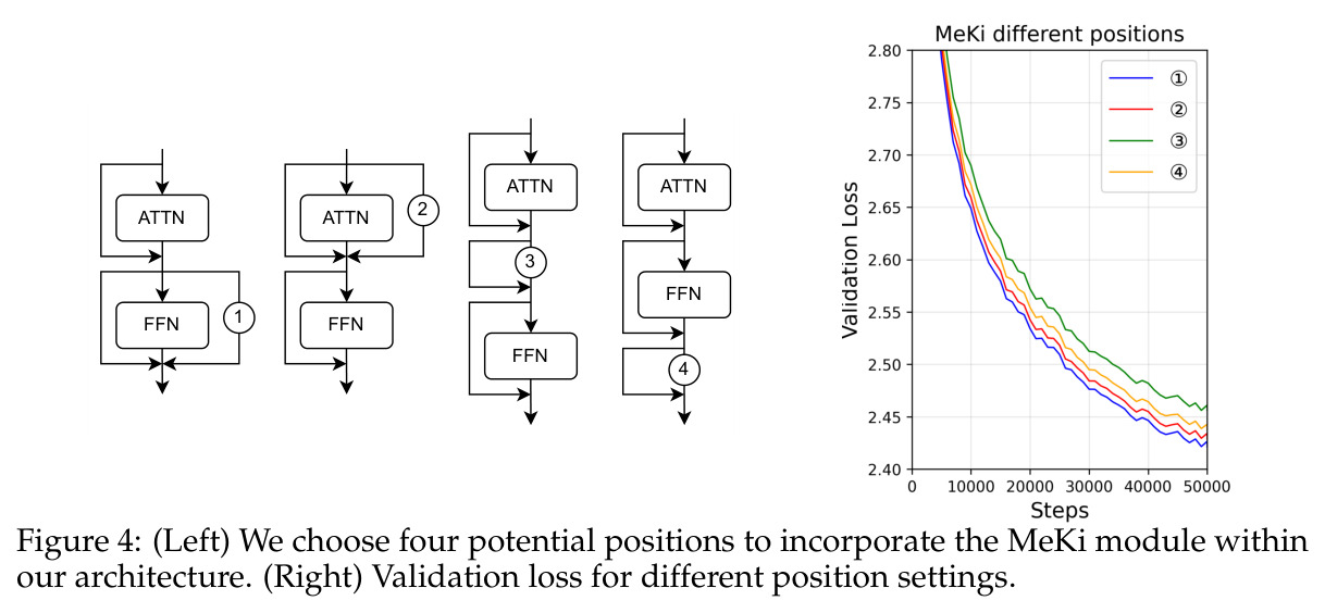 Four potential positions to incorporate the MeKi module