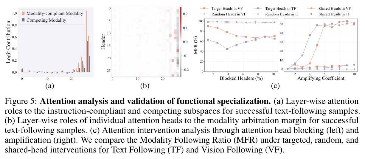 Attention analysis and validation of functional specialization