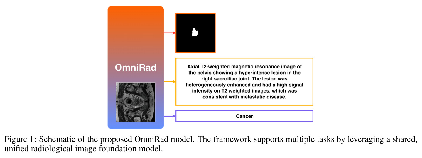 Schematic of the proposed OmniRad model