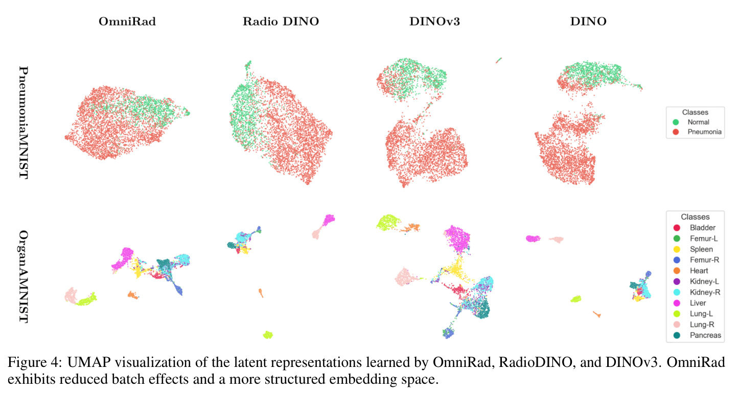 UMAP visualization of the latent representations