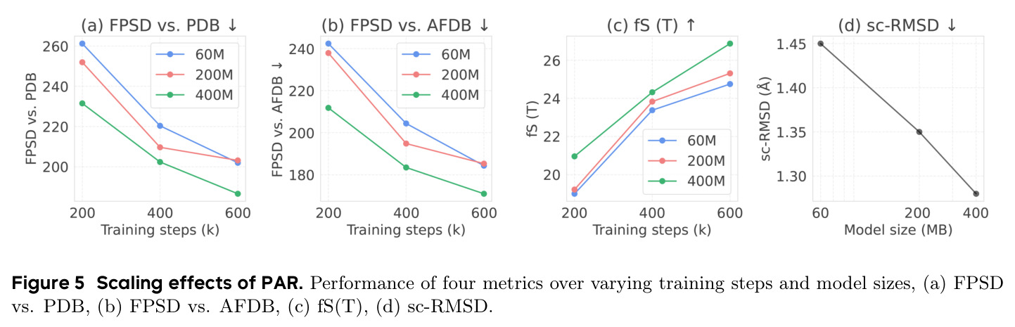 Scaling effects of PAR