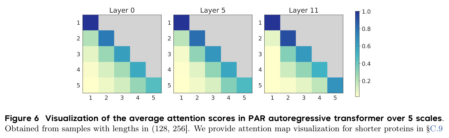 Visualization of the average attention scores in PAR autoregressive transformer over 5 scales