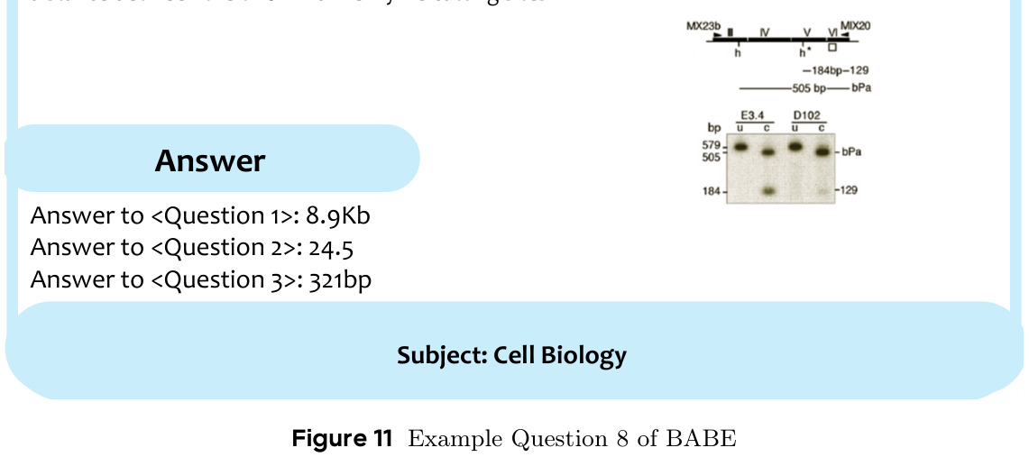 BABE示例问题8：Tsix基因功能研究
