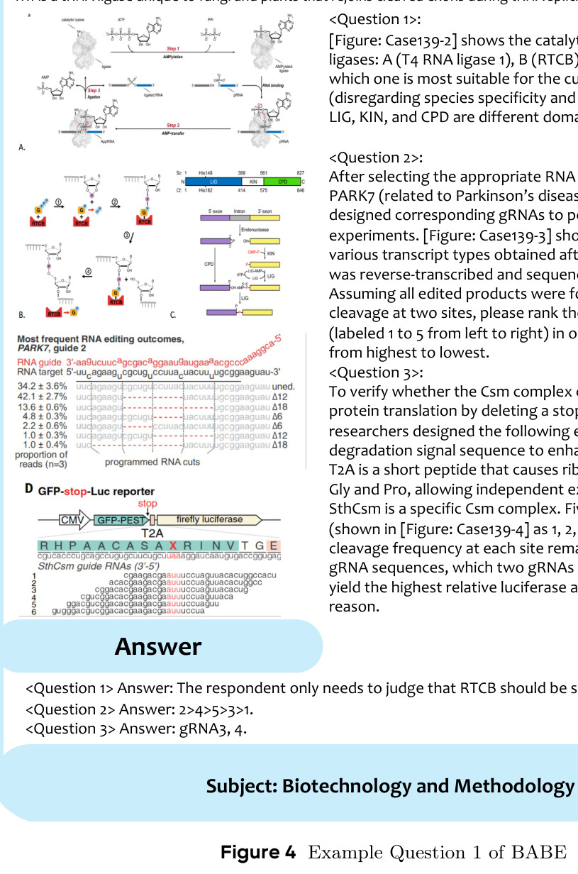 BABE示例问题1：CRISPR-Csm复合物与RNA连接酶