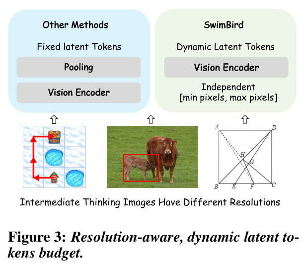 Resolution-aware, dynamic latent tokens budget