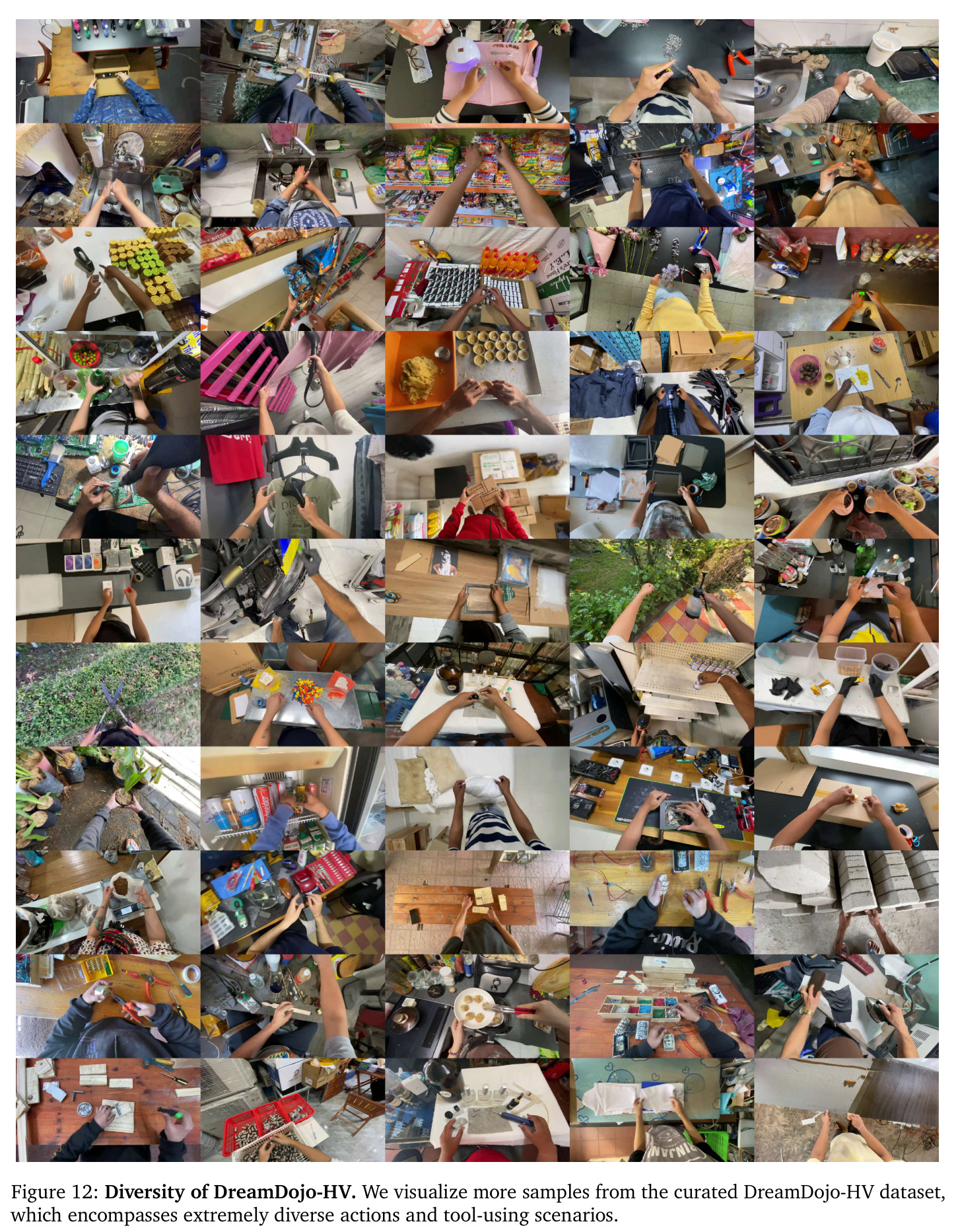 Diversity of DreamDojo-HV