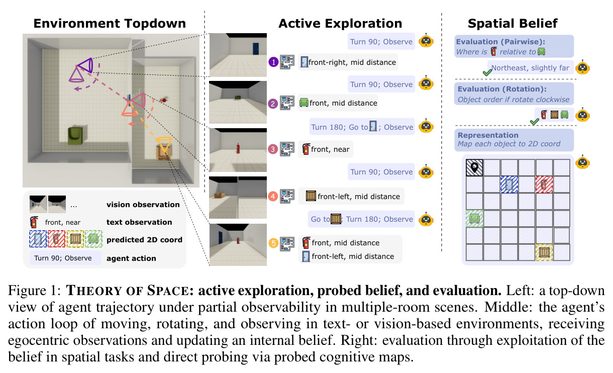 THEORY OF SPACE：主动探索、信念探测和评估