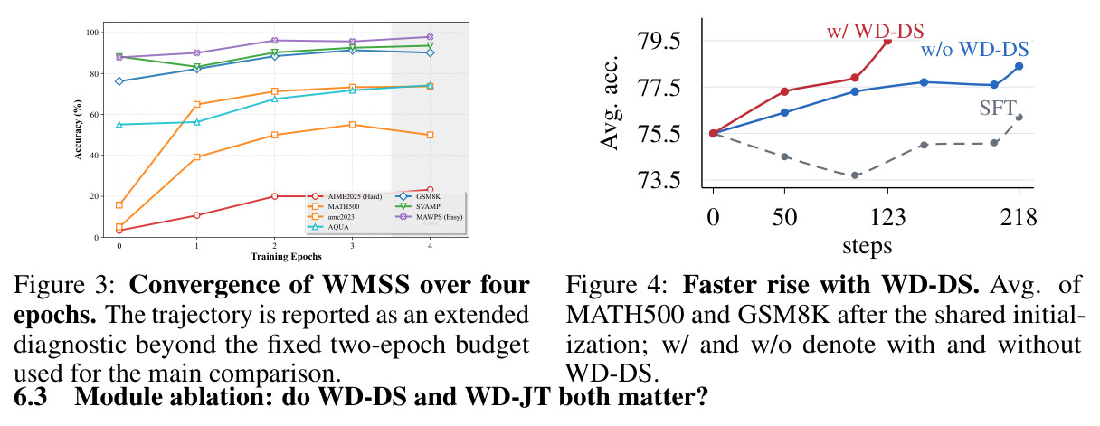 WD-DS 加速收敛效果