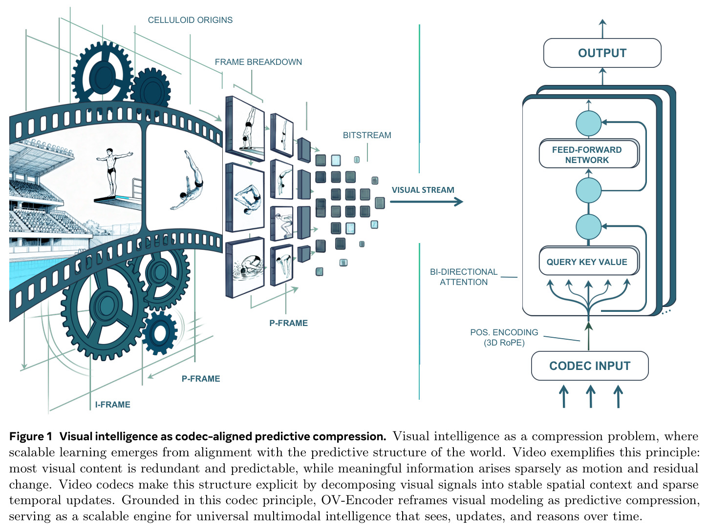 Visual intelligence as codec-aligned predictive compression