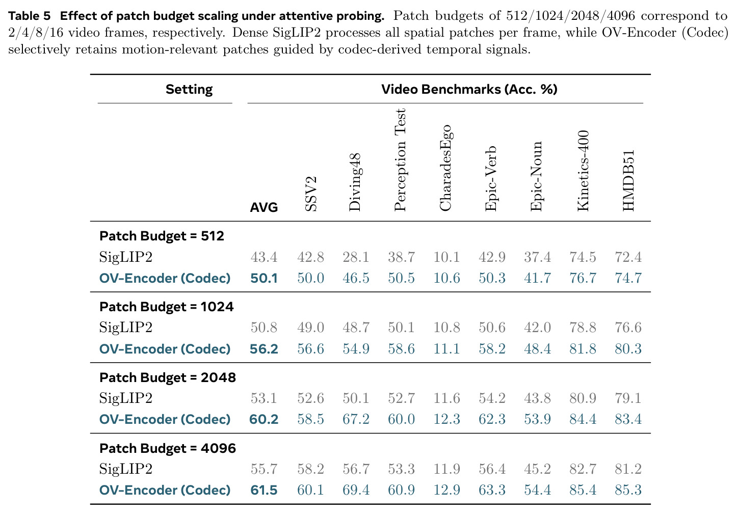 Effect of patch budget scaling under attentive probing