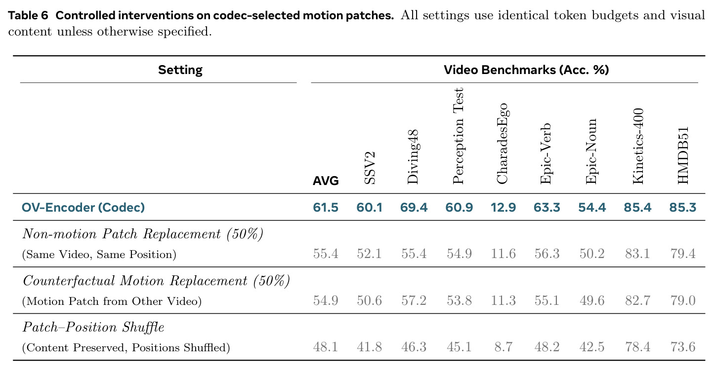 Controlled interventions on codec-selected motion patches