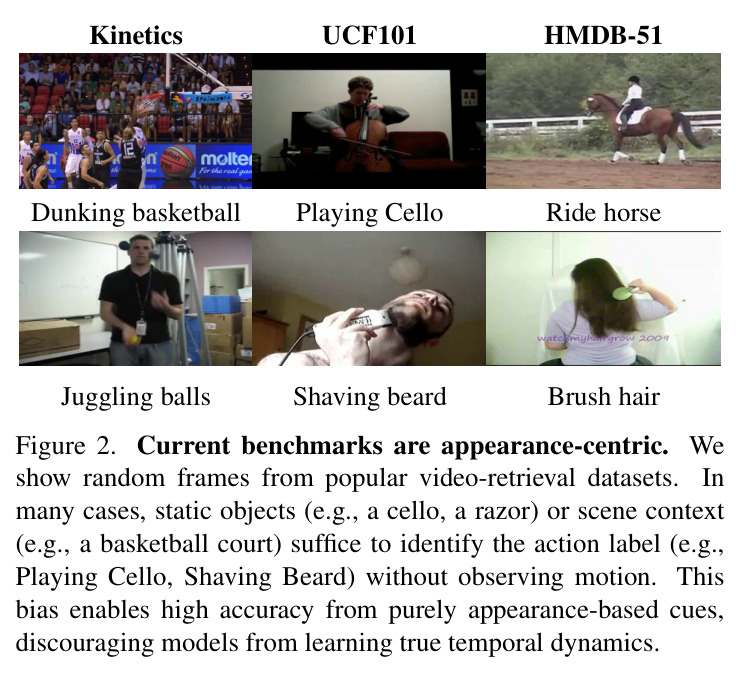 Current benchmarks are appearance-centric