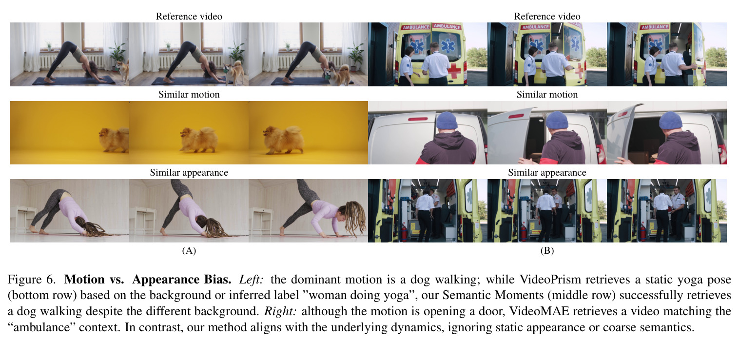 Motion vs. Appearance Bias