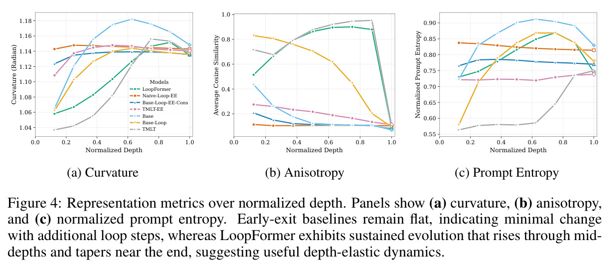 Representation metrics over normalized depth. (a) Curvature (b) Anisotropy (c) Prompt Entropy