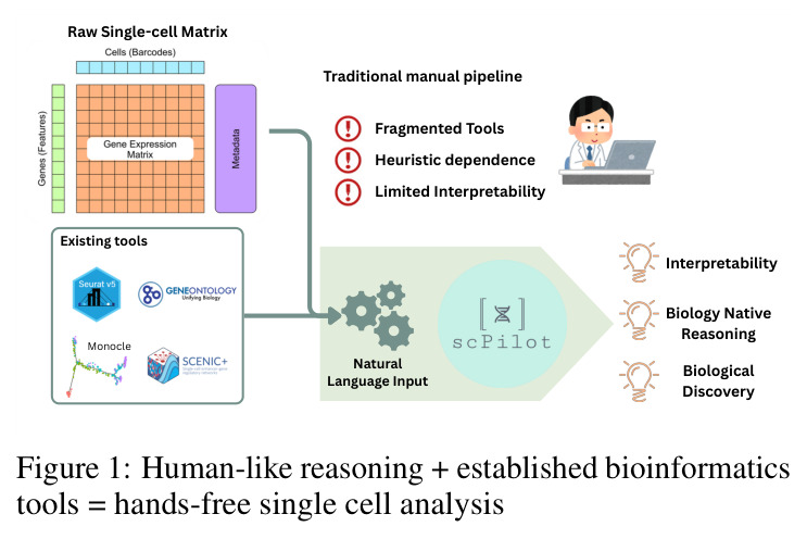 Human-like reasoning + established bioinformatics tools = hands-free single cell analysis