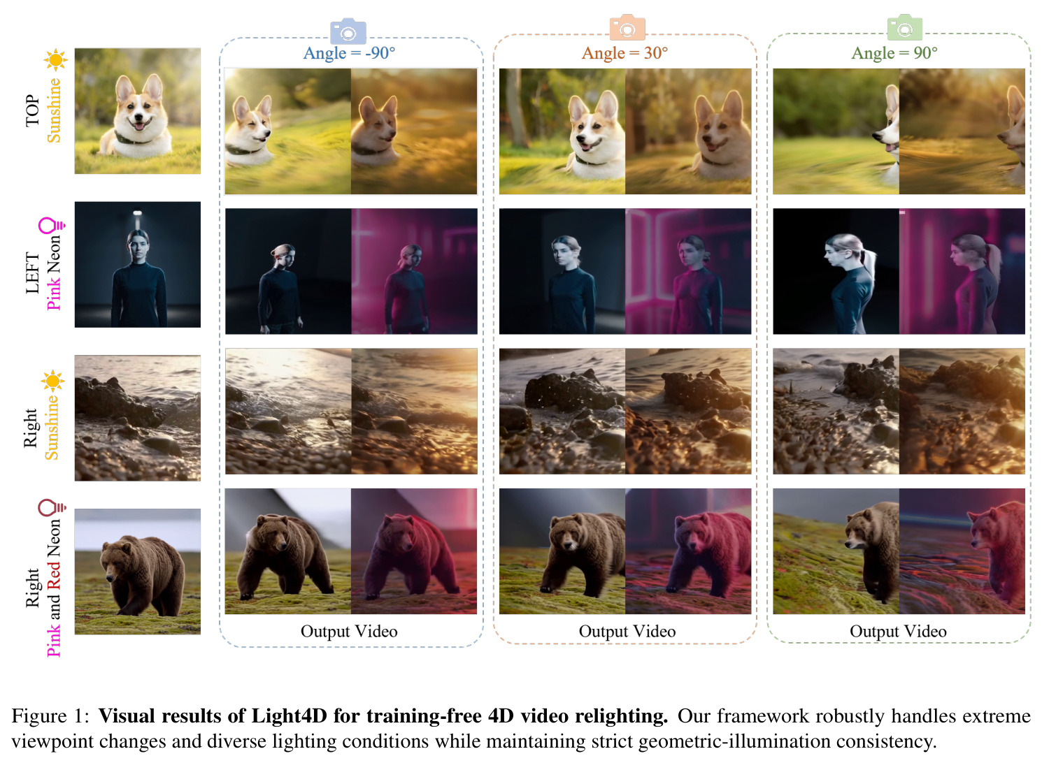 Light4D的视觉结果
