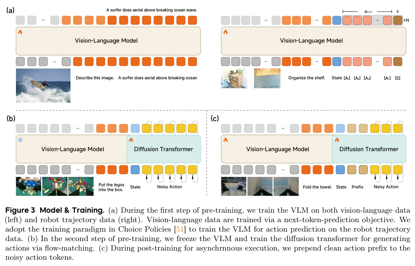 Model & Training