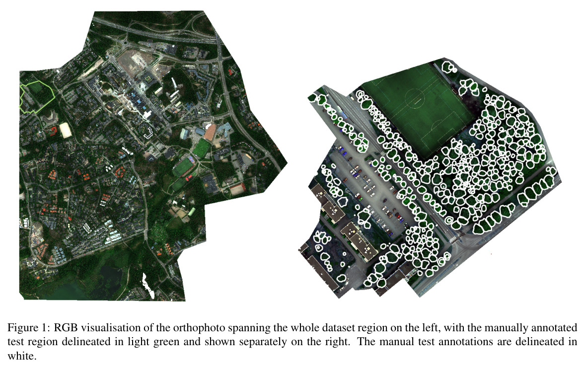 RGB visualisation of the orthophoto spanning the whole dataset region on the left, with the manually annotated test region delineated in light green and shown separately on the right.