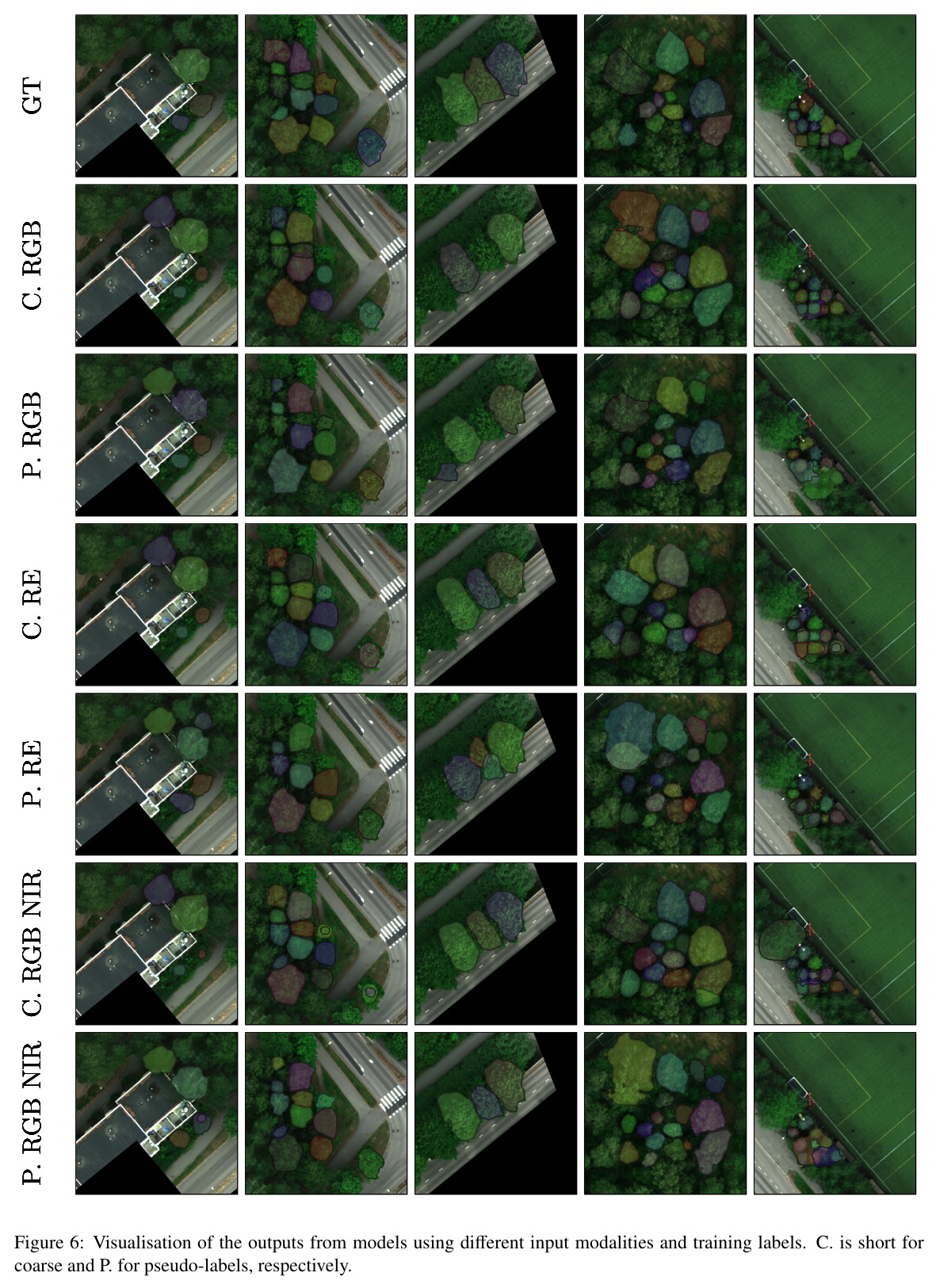 Visualisation of the outputs from models using different input modalities and training labels.