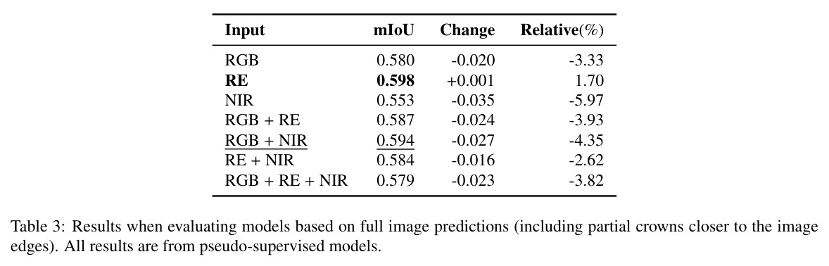 Results when evaluating models based on full image predictions.