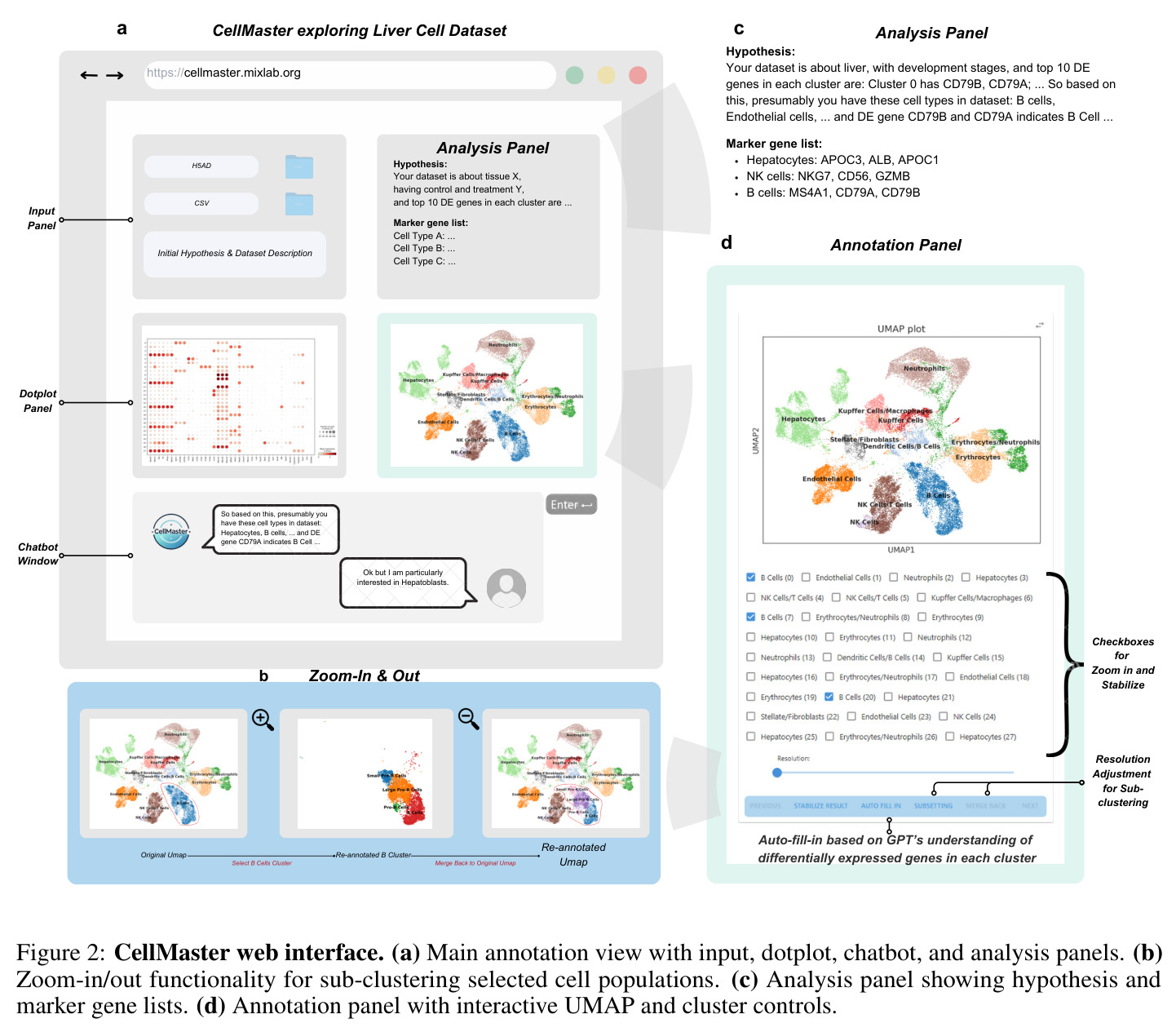 CellMaster Web应用界面面板