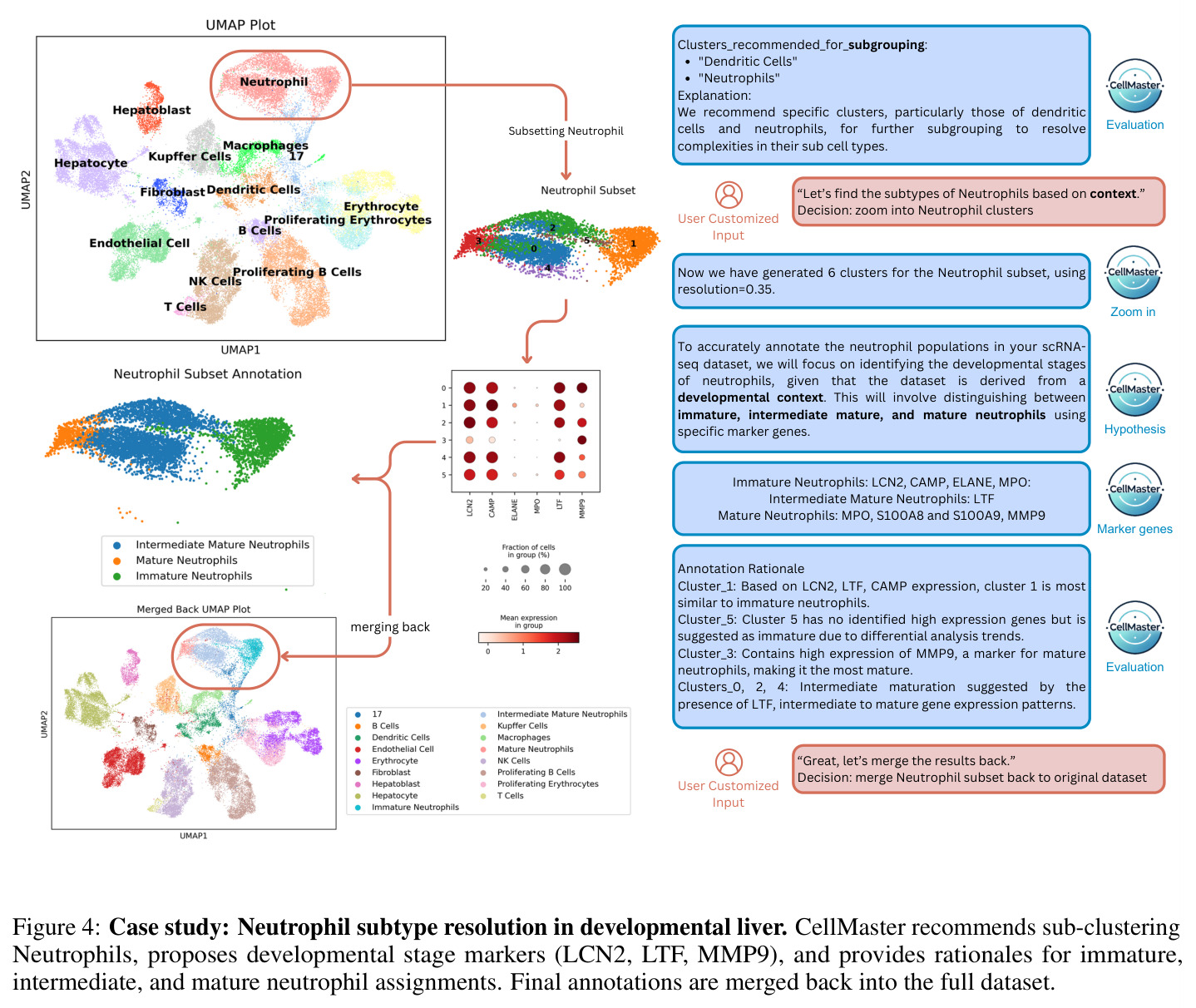 CellMaster案例研究：Liver发育数据集的迭代注释过程