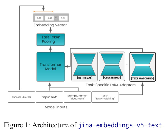 jina-embeddings-v5-text的架构图