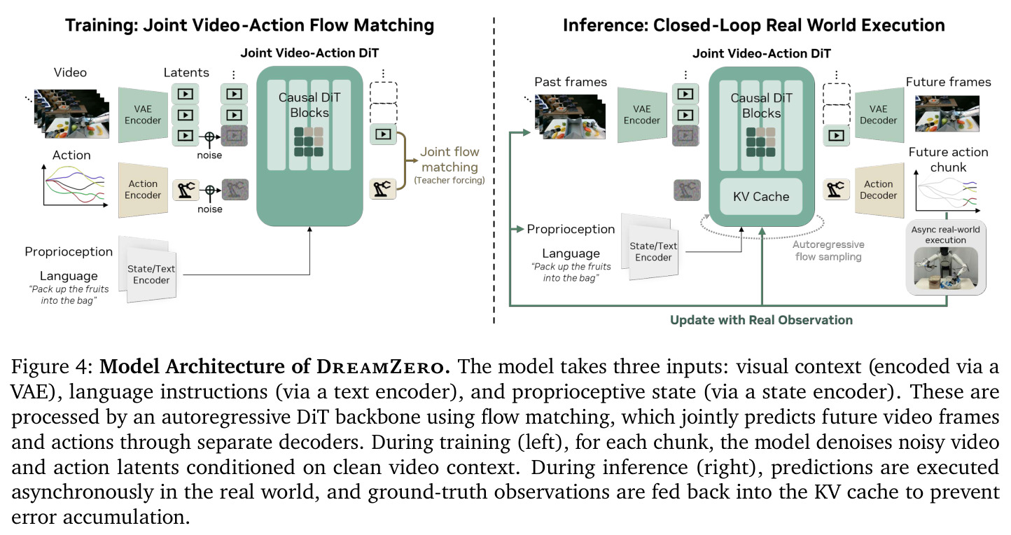 Model Architecture of DreamZero. DreamZero的模型架构