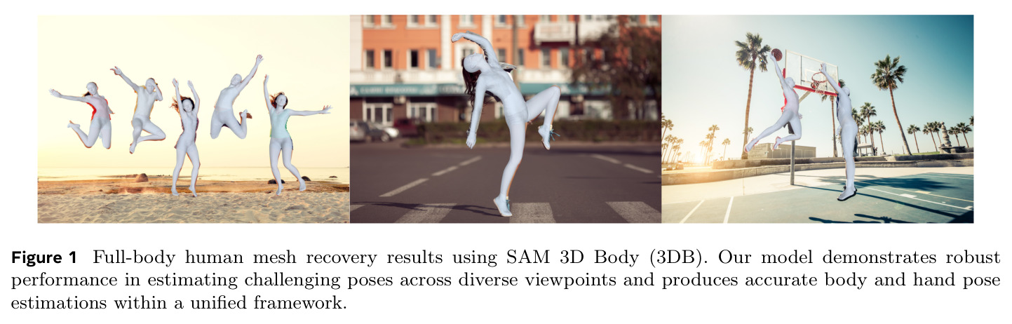 Full-body human mesh recovery results using SAM 3D Body (3DB).