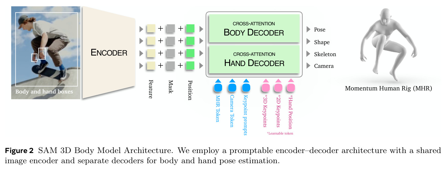 SAM 3D Body Model Architecture.