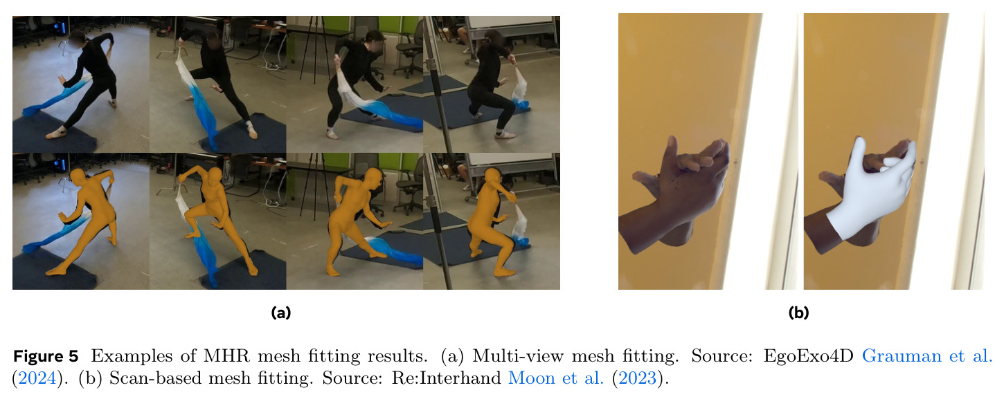 Examples of MHR mesh fitting results. (a) Multi-view mesh fitting. (b) Scan-based mesh fitting.