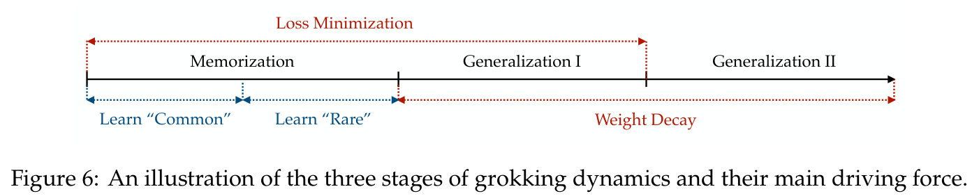 Grokking 三阶段动力学示意图