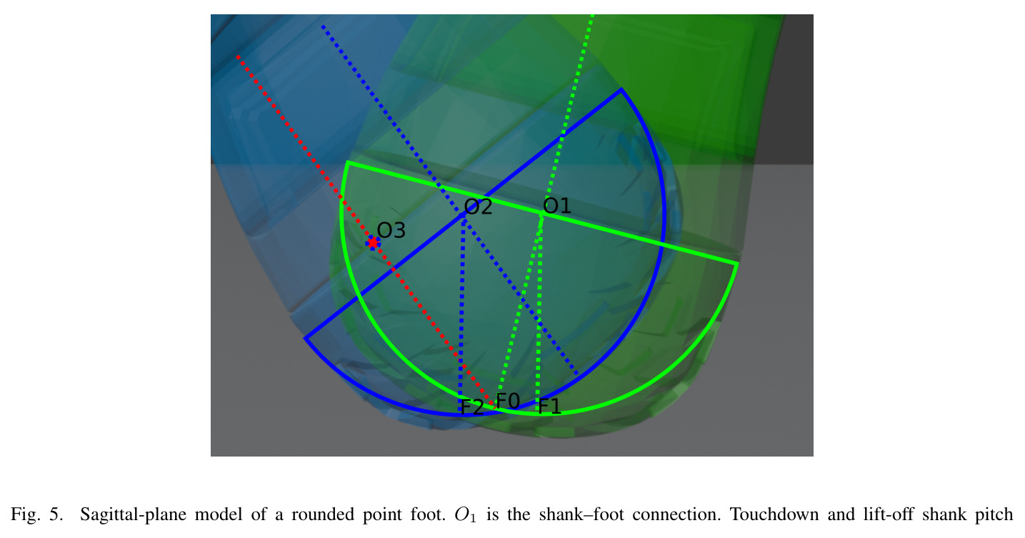 Sagittal-plane model of a rounded point foot