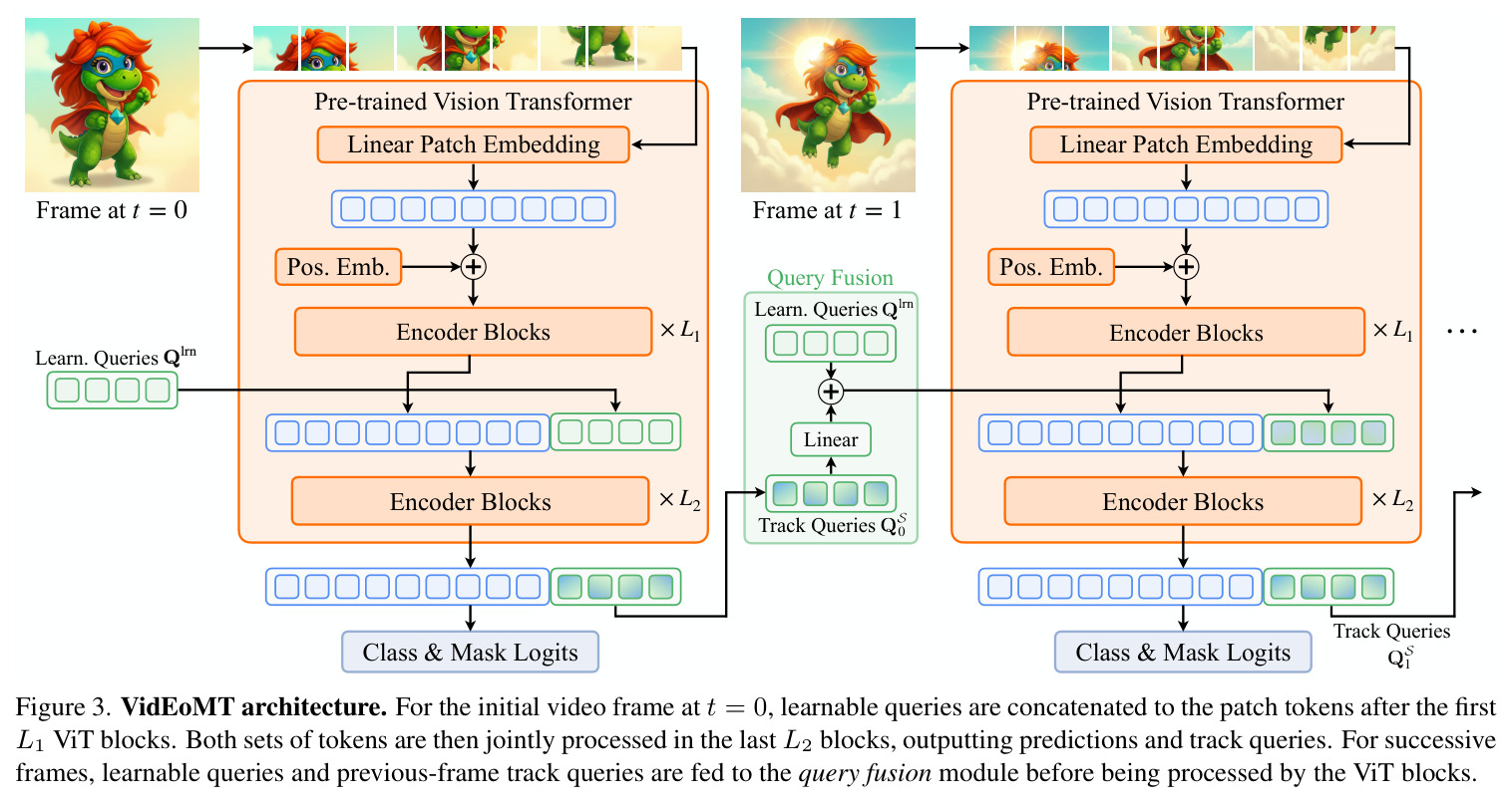 VidEoMT architecture