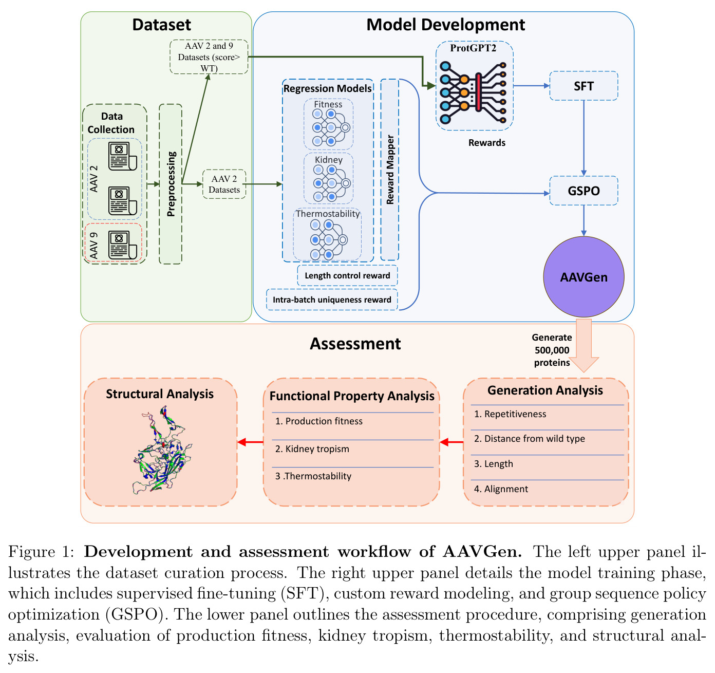 Development and assessment workflow of AAVGen