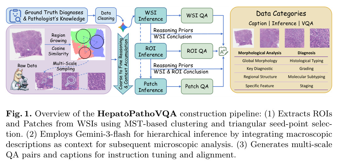 HepatoPathoVQA构建流程概述