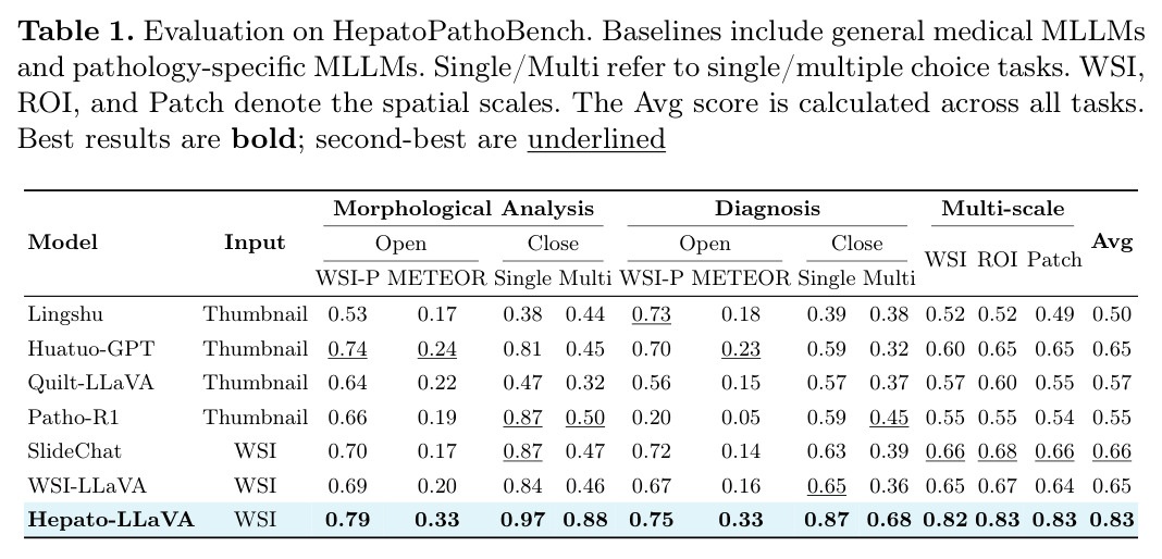 HepatoPathoBench评估结果
