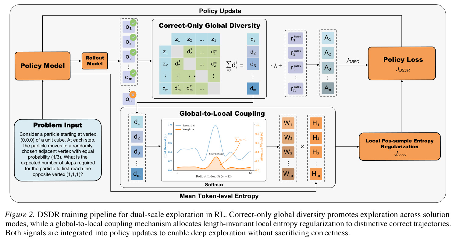DSDR training pipeline for dual-scale exploration in RL. Correct-only global diversity promotes exploration across solution modes, while a global-to-local coupling mechanism allocates length-invariant local entropy regularization to distinctive correct trajectories. Both signals are integrated into policy updates to enable deep exploration without sacrificing correctness.