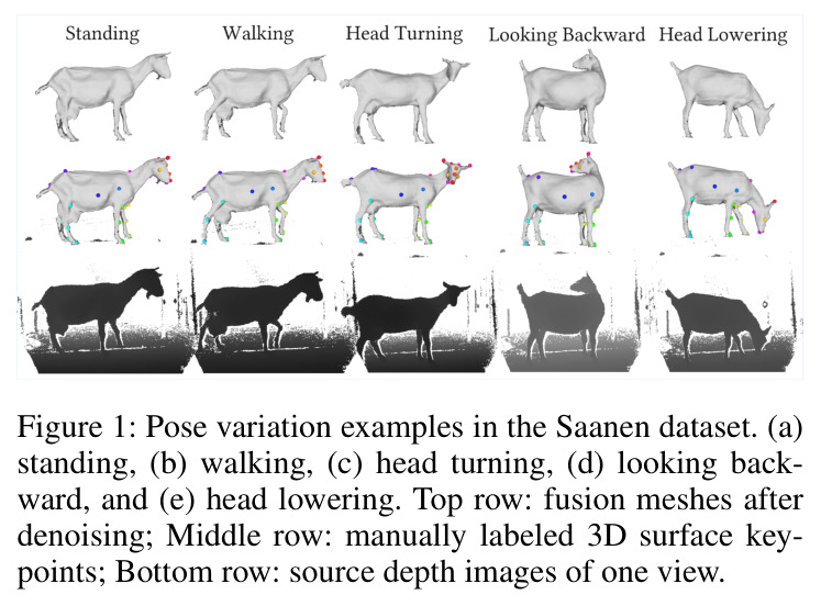 Pose variation examples in the Saanen dataset. (a) standing, (b) walking, (c) head turning, (d) looking backward, and (e) head lowering.