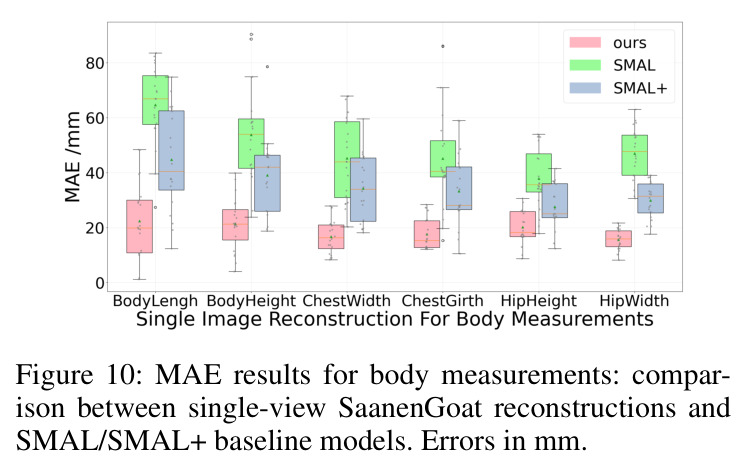 MAE results for body measurements: comparison between single-view SaanenGoat reconstructions and SMAL/SMAL+ baseline models.