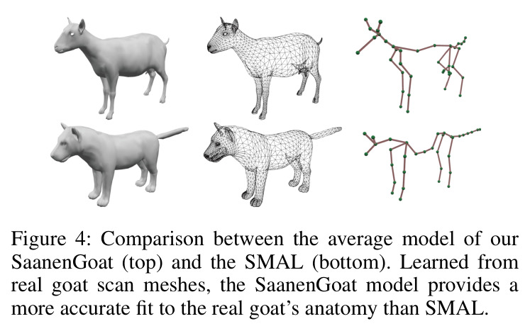 Comparison between the average model of our SaanenGoat (top) and the SMAL (bottom).