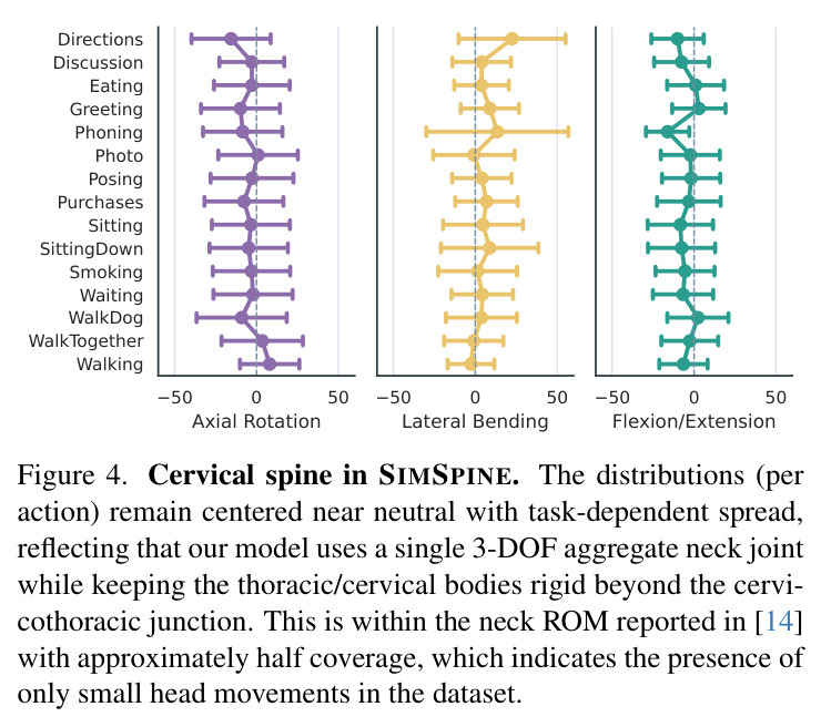 Cervical spine in SIMSPINE. The distributions (per action) remain centered near neutral with task-dependent spread, reflecting that our model uses a single 3-DOF aggregate neck joint while keeping the thoracic/cervical bodies rigid beyond the cervicothoracic junction. This is within the neck ROM reported in [14] with approximately half coverage, which indicates the presence of only small head movements in the dataset. For example, the Phone action has the largest lateral bending range indicative of a sideways head tilt typical during phone conversations.