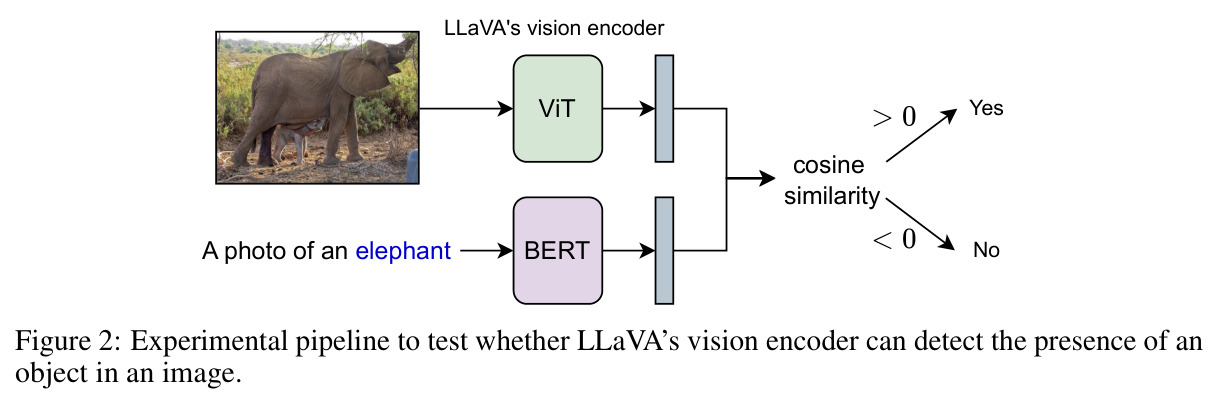 Experimental pipeline to test whether LLaVA's vision encoder can detect the presence of an object in an image.