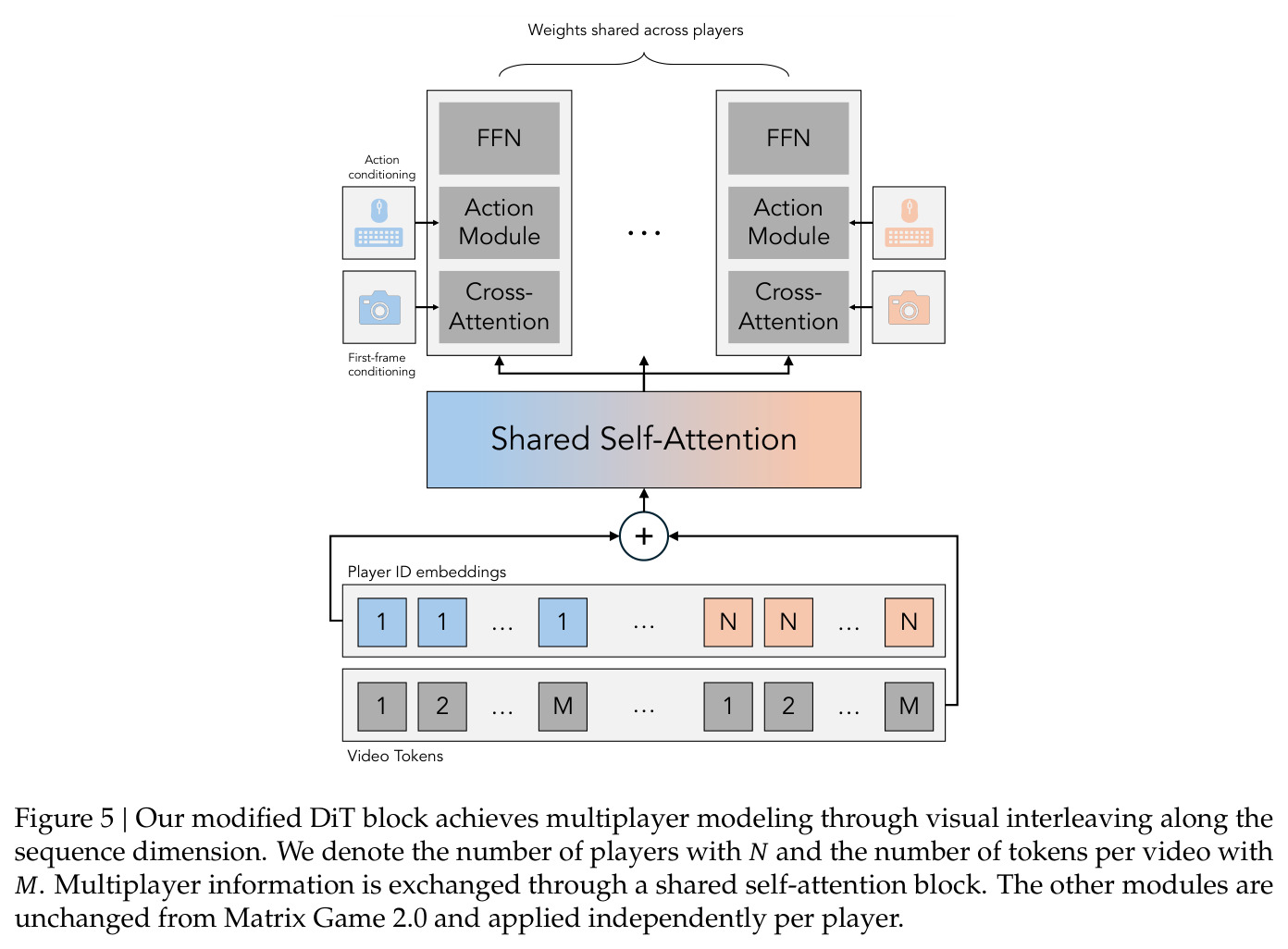 Our modified DiT block achieves multiplayer modeling through visual interleaving along the sequence dimension