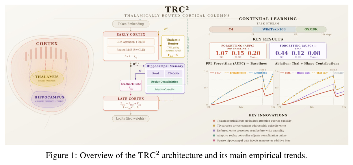 Overview of the TRC2 architecture and its main empirical trends.