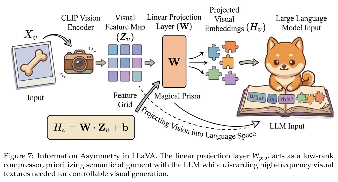 Information Asymmetry in LLaVA