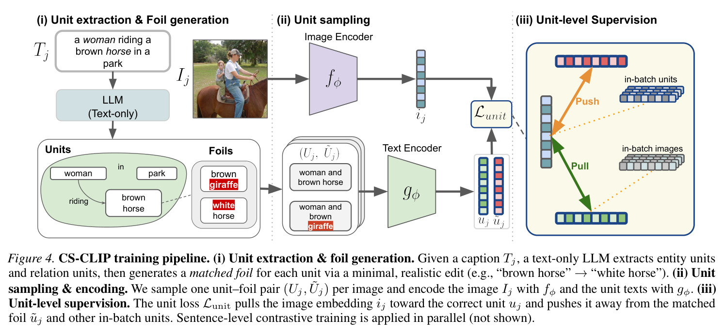 CS-CLIP training pipeline