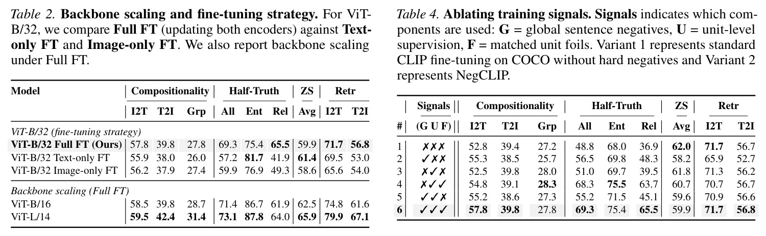 Backbone scaling and fine-tuning strategy