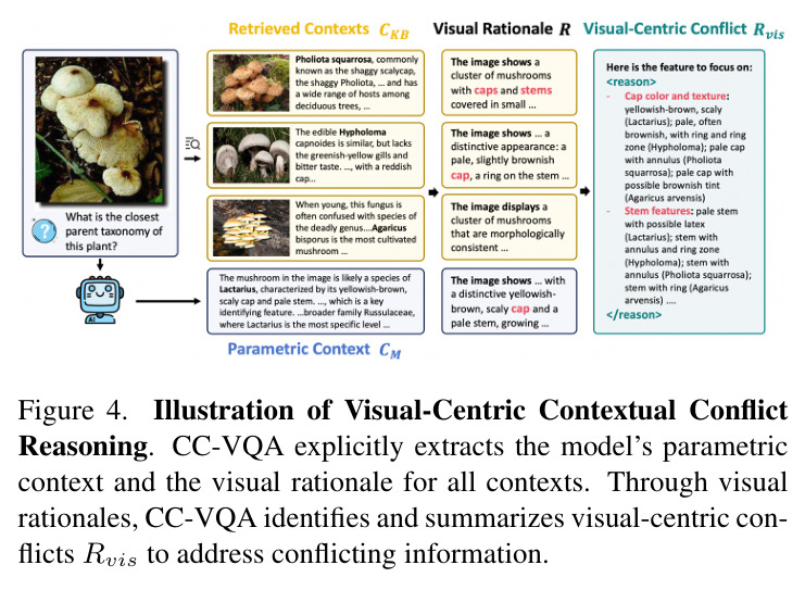 Illustration of Visual-Centric Contextual Conflict Reasoning